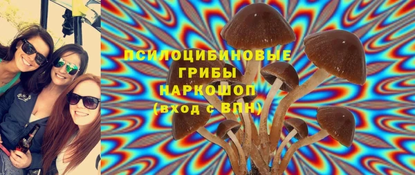 первитин Бородино