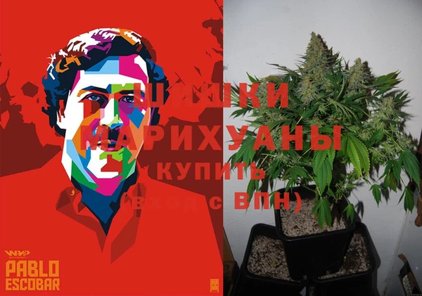 молекула духа Верея