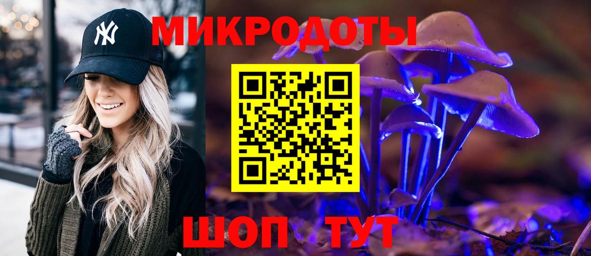 Галлюциногенные грибы Psilocybine cubensis  Псилоцибиновые грибы прущие грибы  Вход с VPN  Гудермес 